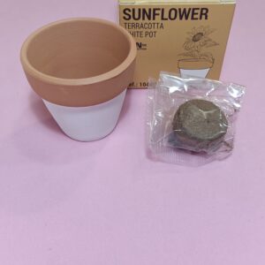 Macetita de terracota blanca - Mín. 10 uds